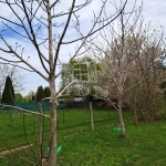 Balatonakarattya 土地 15