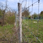 Balatonkenese 土地 1