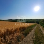 Balatonkenese 夏季别墅 10