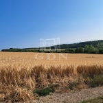 Balatonkenese 夏季别墅 17