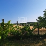 Balatonkenese 夏季别墅 22