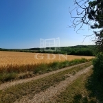 Balatonkenese 夏季别墅 13