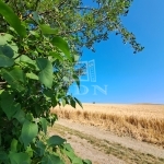 Balatonkenese 夏季别墅 14