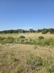 Balatonalmádi 土地 3