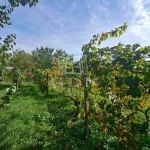 Balatonkenese Family House 9