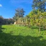 Balatonkenese Family House 10