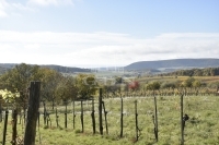 Óbudavár Family House 14