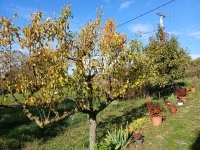 Óbudavár Family House 15