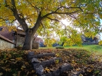 Pécsely Family House 15