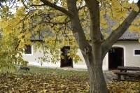 Pécsely Family House 1