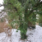 Csopak Family House 18