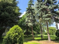 Balatonfüred 公寓房（砖头） 13