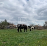 Veszprém Családi ház 21