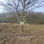 Balatonkenese 土地 24