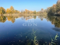 Dunaharaszti Családi ház 9