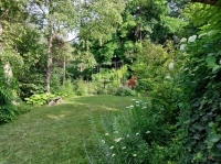 Budaörs Családi ház 15