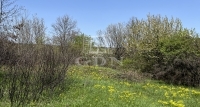 Budakeszi 土地 - 60.000.000 HUF