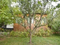 For sale building lot Budakeszi, 610m2