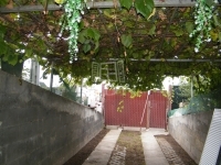 Budakeszi Wohngrundstück 8