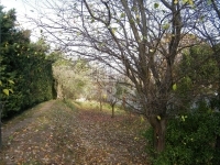 Solymár Building lot 4