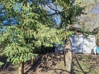 Budakeszi 土地 - 29.900.000 HUF