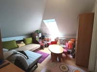 Halásztelek 家庭别墅 14