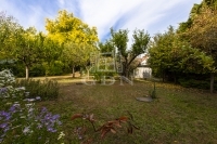 Budapest XVI. kerület 商业用 - 店铺 56