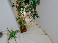 Dunakeszi Частный дом 19