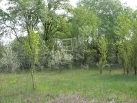 Kecskemét 农业区域 0