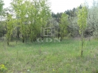 Kecskemét 农业区域 2