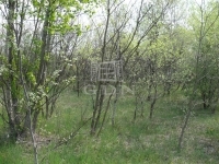 Kecskemét 农业区域 3