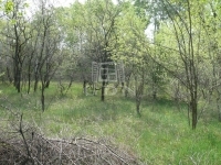 Kecskemét 农业区域 4