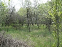 Kecskemét 农业区域 6