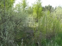 Kecskemét 农业区域 7