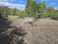 Kerekegyháza 农业区域 2