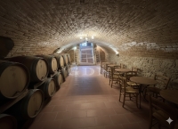 Kecskemét Családi ház 16