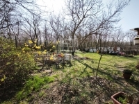 Lajosmizse 农场 10