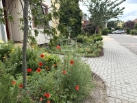 Kecskemét 联排别墅 19