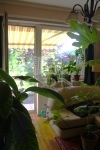 Szigetszentmiklós Einfamilienhaus 6