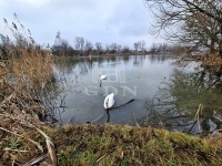 Budapest XXIII. kerület Családi ház 24