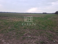 Kiskunlacháza Telek 3