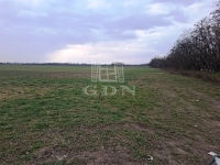 Kiskunlacháza Telek 5