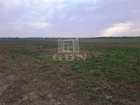 Kiskunlacháza Telek 6