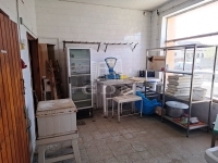 Szigetújfalu Családi ház 9