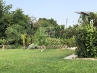 Tököl 家庭别墅 38