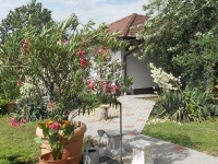 Tököl 家庭别墅 8