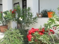 Tököl 家庭别墅 37