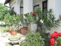 Tököl 家庭别墅 34