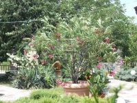 Tököl 家庭别墅 36