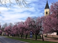 Tököl 家庭别墅 0